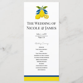 Programa Casamento Mediterrâneo Aquarela Limão Amarelo Azul