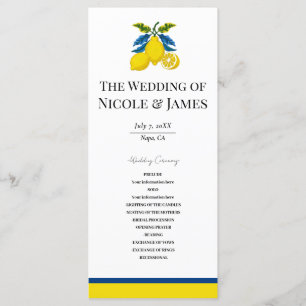 Programa Casamento Mediterrâneo Aquarela Limão Amarelo Azul