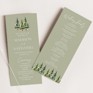 Programa Casamento Minimalista da Floresta de Pinheiros Nev