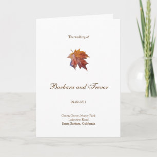 Programa Casamento natural de queda de água
