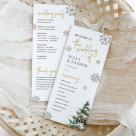 Programa casamento no inverno de Casamento de Nata