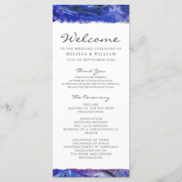 Programa Casamento Pintado