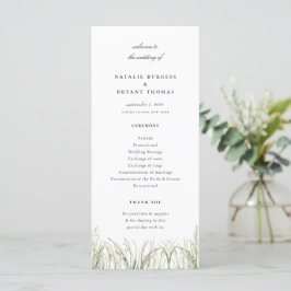 Programa Casamento Rustic Pampas Grass