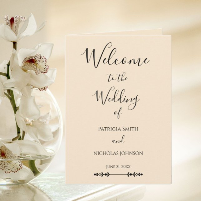 Programa Casamento Simples Estilizado em Champanhe (In Situ Wedding)