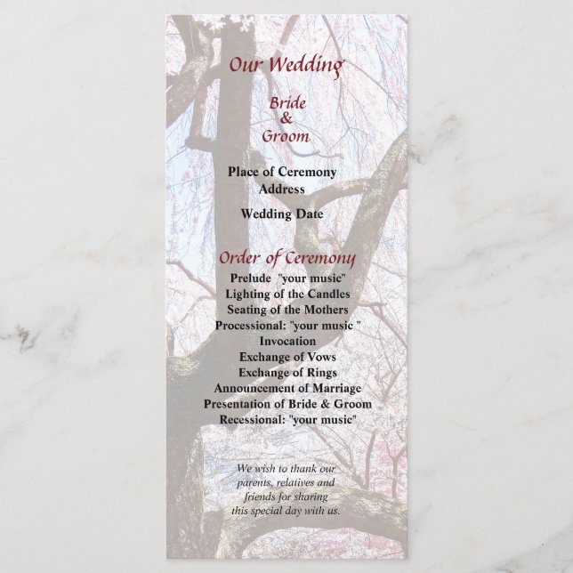 Programa Cherry Tree Closeup Wedseup Program (Frente)