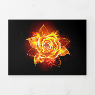Programa Com Borda Tripla Blooming Fire Rosa