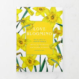 Programa Com Borda Tripla Casamento verde-branco de daffodils primavera amar