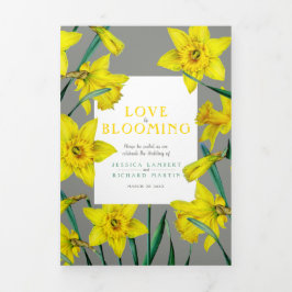 Programa Com Borda Tripla Flores da primavera, narcisos, cinzas amarelas do