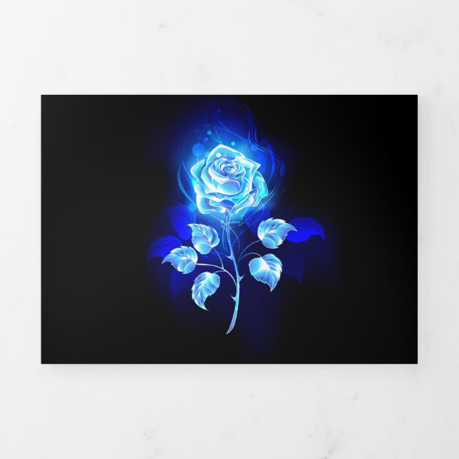 Programa Com Borda Tripla Rosa Azul Queimando (Cobrir)
