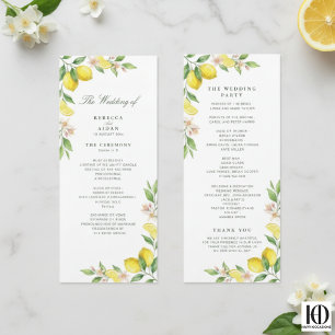 Programa Coroa de Aquarela Casamento Cítrico Mediterrâneo