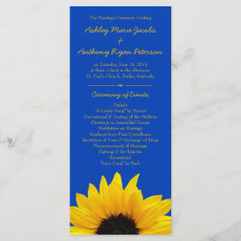 Programa de Casamento Azul de Cobalto, Girassol Am