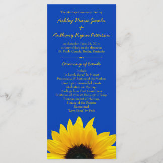 Programa de Casamento Azul de Cobalto, Girassol Am