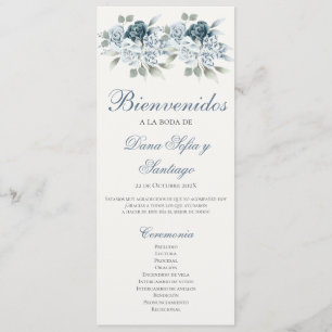 Programa de Casamento Azul em español