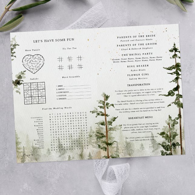 Programa de Casamento com Cachoeira na Floresta Rú (Criador carregado)