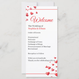 Programa de Casamento Corações Rosa Suave