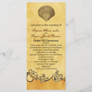 programa de casamento da praia russa de seashell