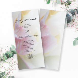Programa de Casamento da primavera da Flor de Tuli