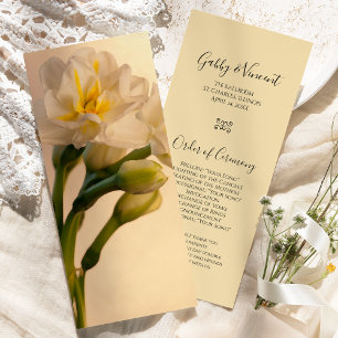 Programa de Casamento da primavera de Daffodils Du