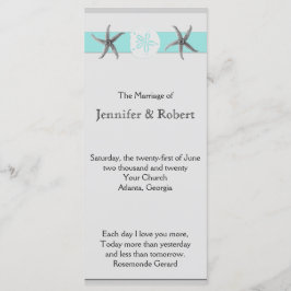 Programa de Casamento de Bandas de Aqua e de Cinza