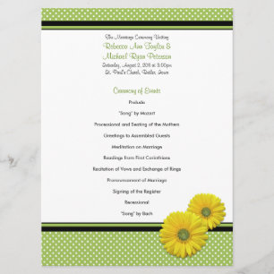 Programa de Casamento de Bolinhas de Gerbera Daisy