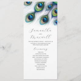 Programa de Casamento de Comprimento do Chá Modelo