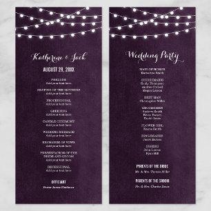 Programa de Casamento de Luzes de Corda de Ameixa