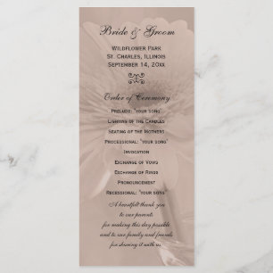 Programa de Casamento de Margarida, Rosa-Rosa-Páli
