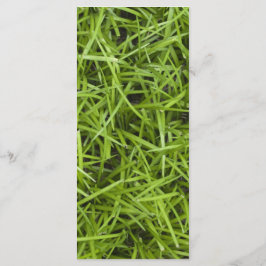 Programa de Casamento de Quintais de Grass Verde