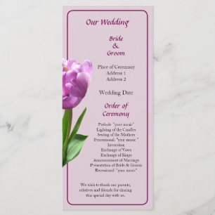 Programa de Casamento de Tulipas Rosa-rico