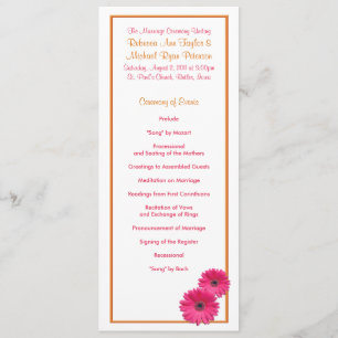 Programa de Casamento entre Gerbera e Laranja Cor-