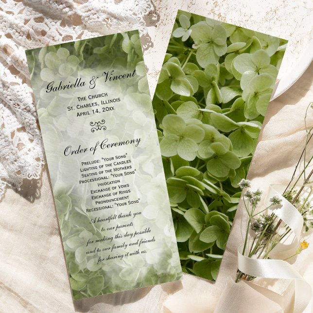 Programa de Casamento Green Annabelle Hydrangea (Criador carregado)