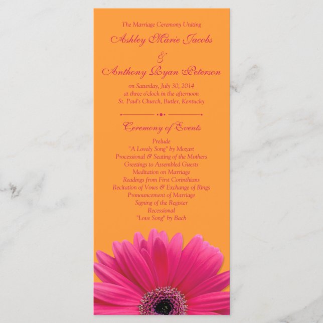 Programa de Casamento Laranja de Gerbera Daisy, Ro (Frente)
