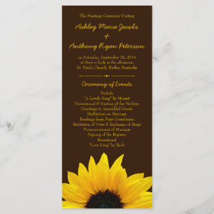 Programa de Casamento Marrom da Flor Amarela