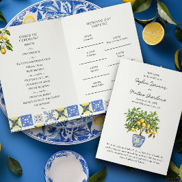 Programa de Casamento Nacional Italiano de Lemon G