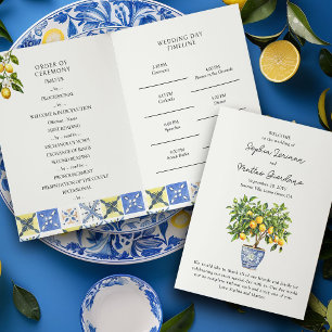 Programa de Casamento Nacional Italiano de Lemon G