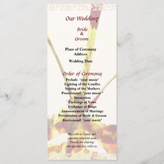 Programa de Casamento Psychopsis Mendenhall Hildos