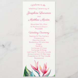 Programa de Casamento Tropical de Pássaro do Paraí