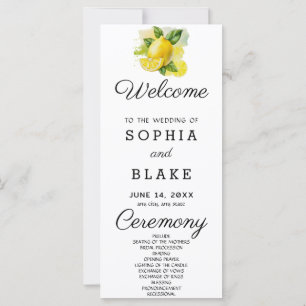 Programa de Casamento Verde-Limão Country Branco