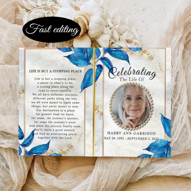 Programa de Celebração do Luxo da Vida (Criador carregado)