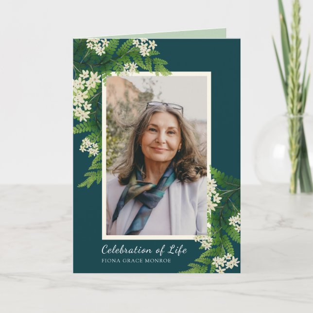 Programa de Folhas e Fotografias de Ferns (Frente)