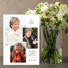 Programa de Fotografias da Galeria Dobrada