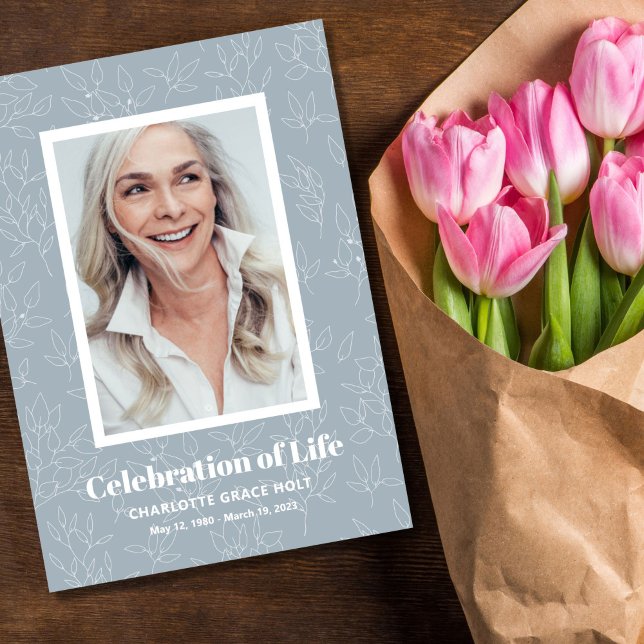 Programa de Memória Fotográfica das Vinhas Sutis (Criador carregado)