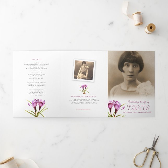 Programa de serviços funerários (Fora)