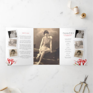 Programa de serviços funerários — laranja-laranja-