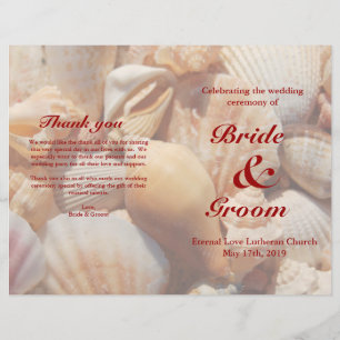 Programa do casamento de praia: Seashell colorido