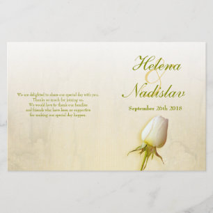 Programa do casamento do botão do rosa branco
