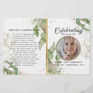 Programa Elegante de Celebração Verde da Vida