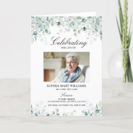 Programa Eucalyptus deixa ordem de serviço | Memorial