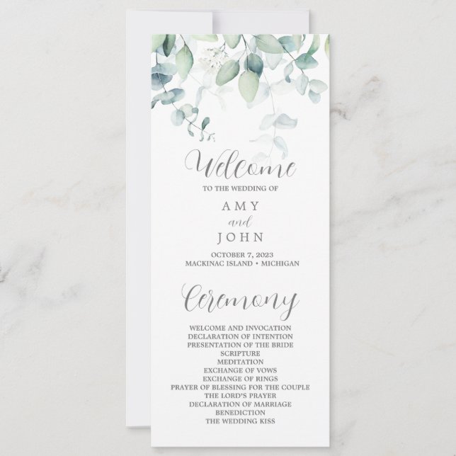 Programa Eucalyptus para Amy (Frente)