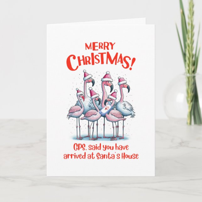 Programa Feliz Natal Flamingos Visitando Papais noeis (Frente)